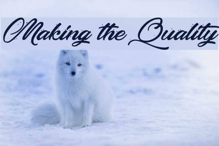 Making the Quality Font examples