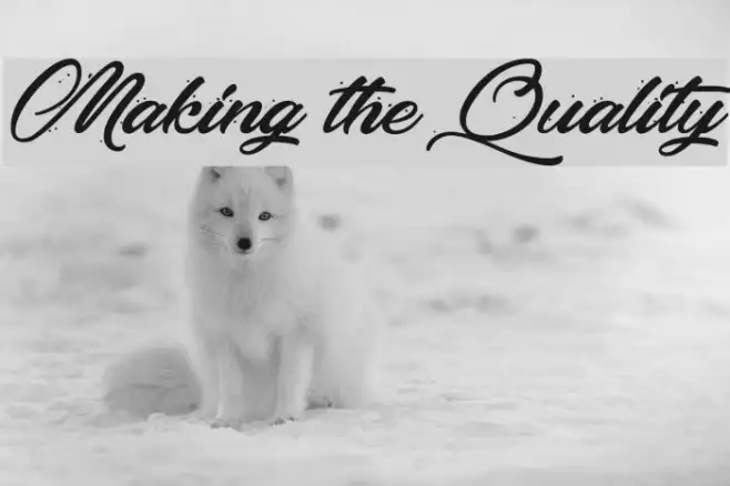 Making the Quality Example 2