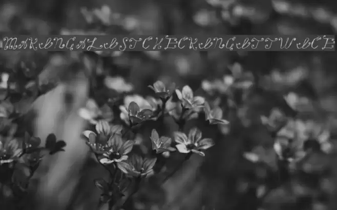 MakingaListCheckingItTwice Font examples