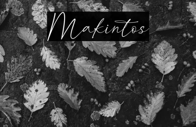 Makintos Example 2