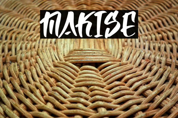 Makise Example 1