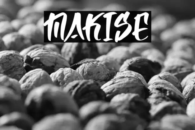 Makise Example 3