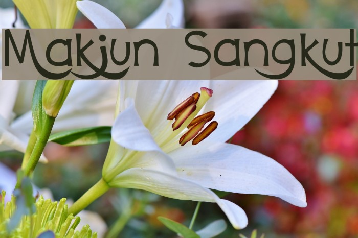 Makjun Sangkut Font examples