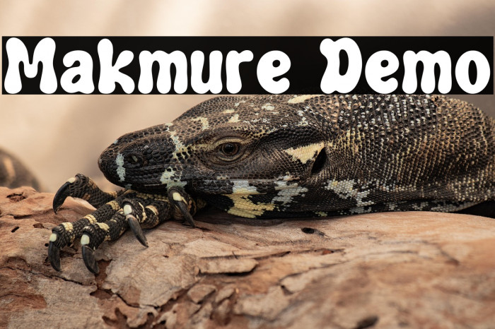 Makmure Demo Example 1
