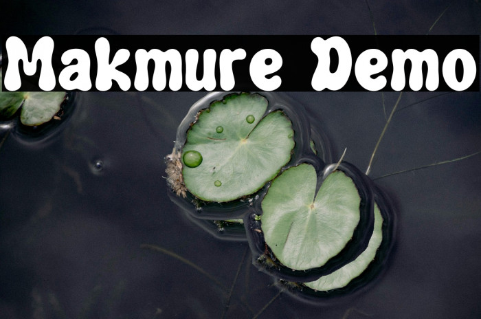 Makmure Demo Example 3