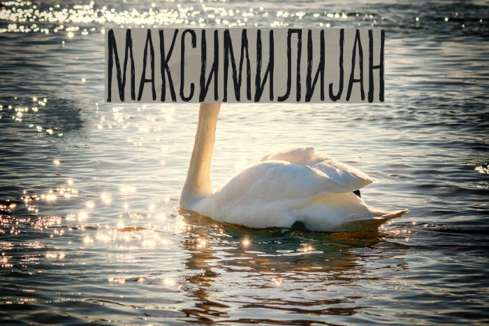 Maksimilijan Font examples