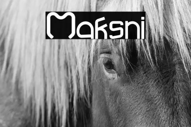 Maksni Example 1
