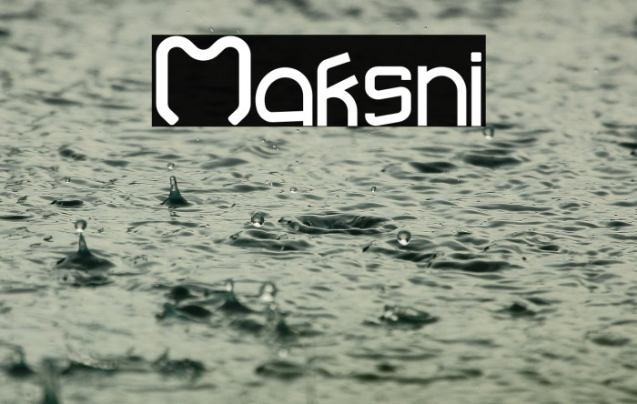 Maksni Example 2
