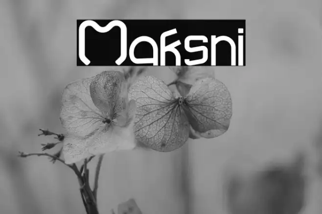 Maksni Example 3