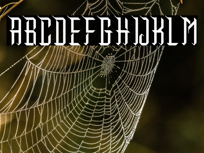 Makunu Demo Regular Example 1