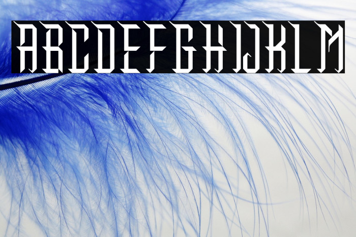 Makunu Demo Regular Example 2