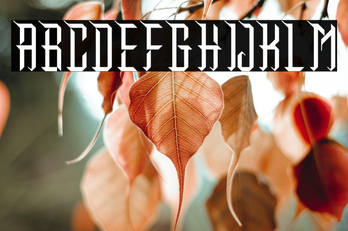 Makunu Demo Regular Example 3