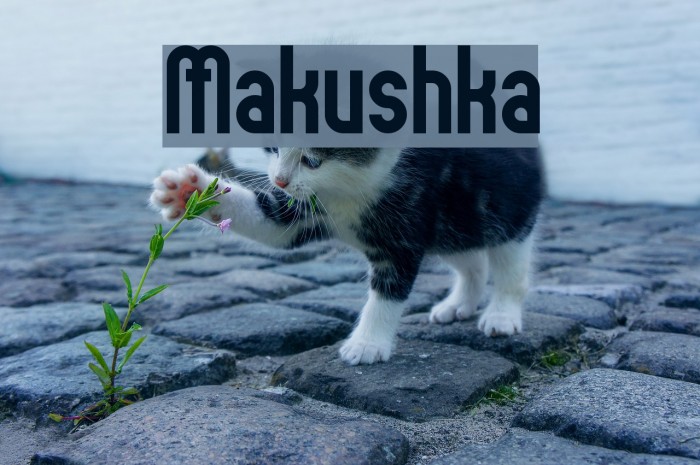 Makushka Font examples