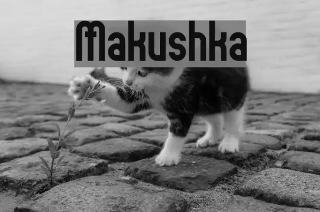 Makushka Example 1