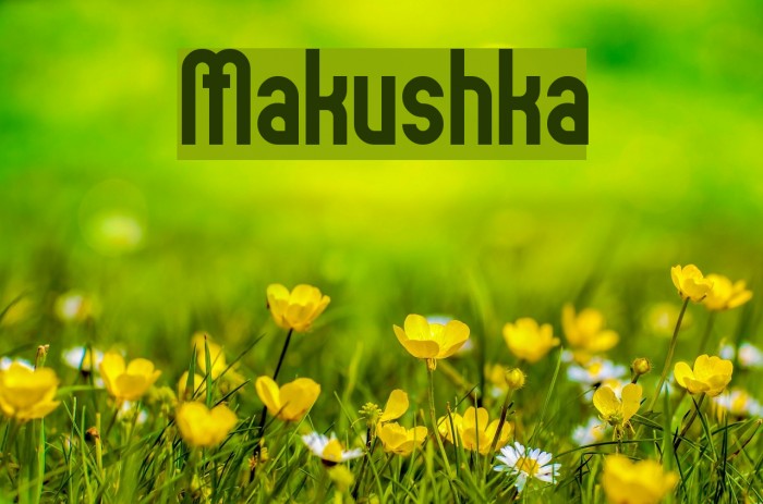 Makushka Font examples