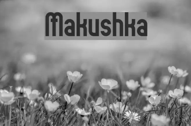 Makushka Example 3