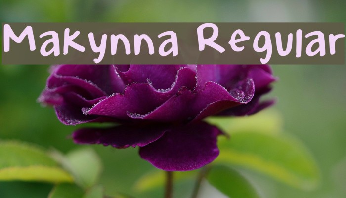 Makynna Regular Font examples