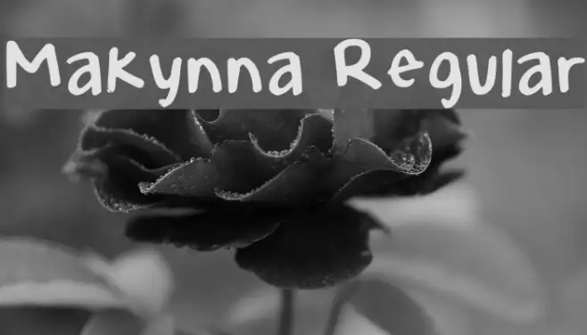 Makynna Regular Example 1