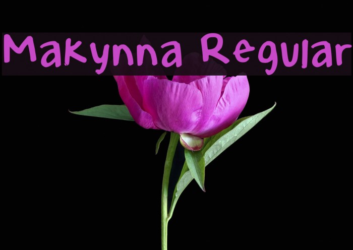 Makynna Regular Font examples