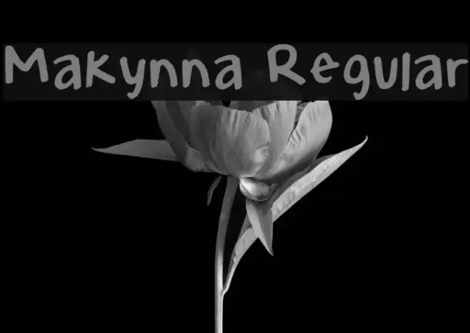 Makynna Regular Example 3