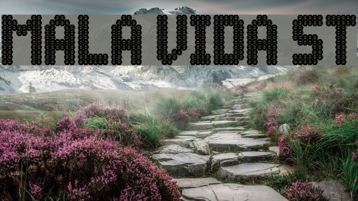 Mala Vida St Font examples