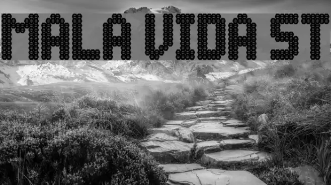 Mala Vida St Example 3