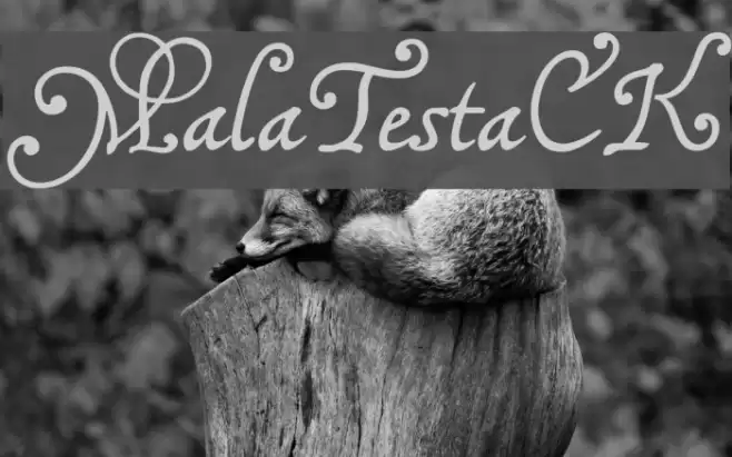 MalaTestaCK Font examples