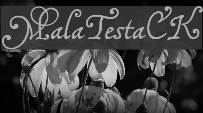 MalaTestaCK Font examples