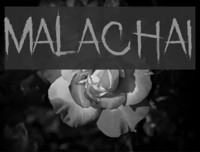 Malachai Font examples