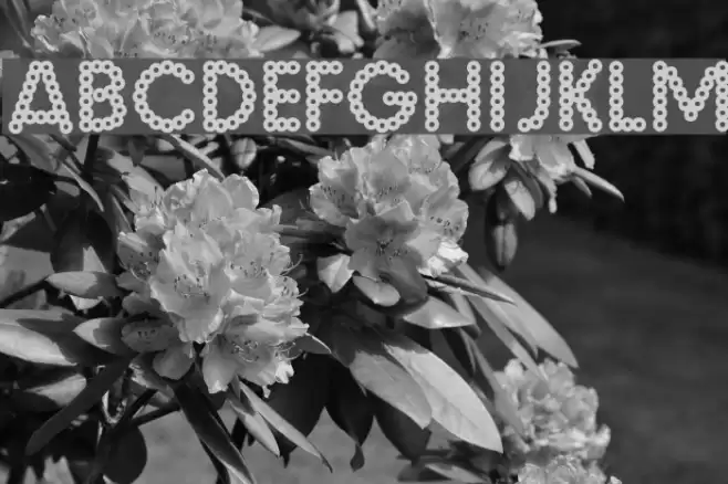 Malache Crunch Font examples