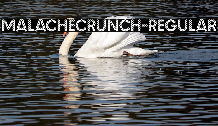 MalacheCrunch-Regular Font examples