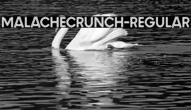 MalacheCrunch-Regular フォント examples
