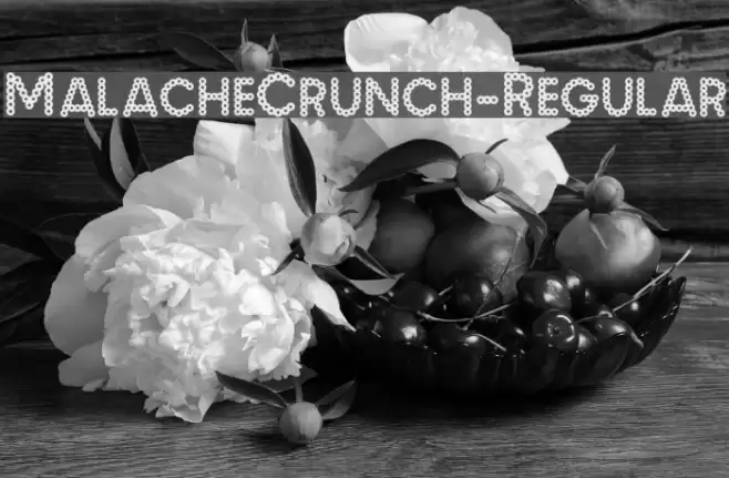 MalacheCrunch-Regular Font examples
