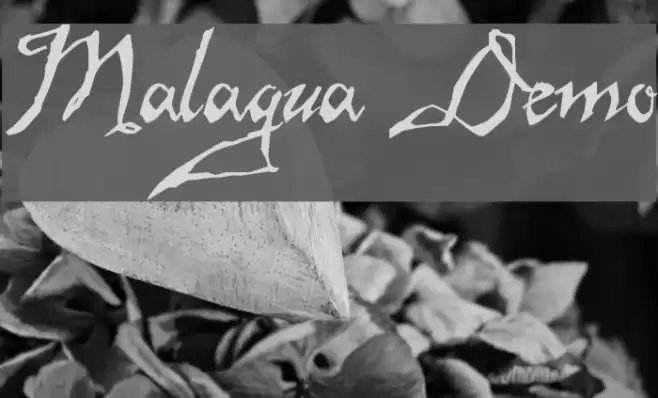 Malagua Demo خط examples