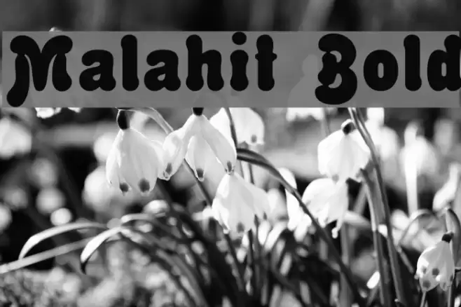 Malahit Bold Font examples