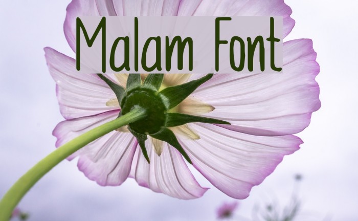 Malam Font examples