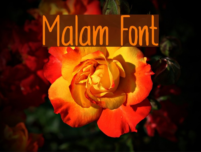 Malam Font examples