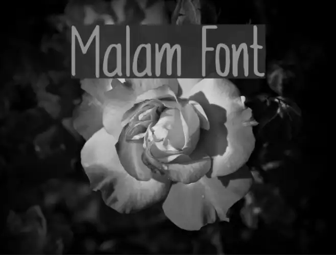 Malam Example 3