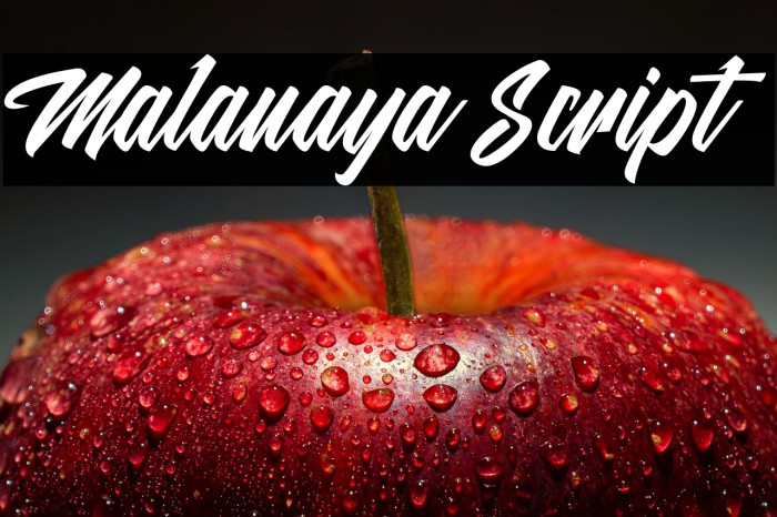 Malanaya Script Example 3