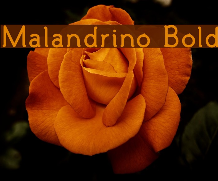 Malandrino Bold Font examples