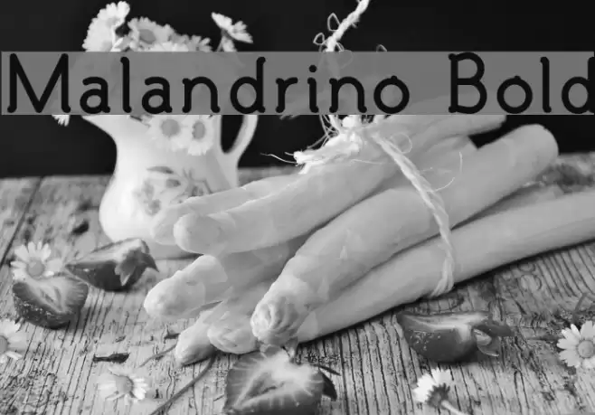 Malandrino Bold Font examples
