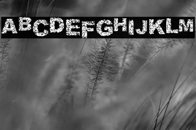 Malapropism Font examples