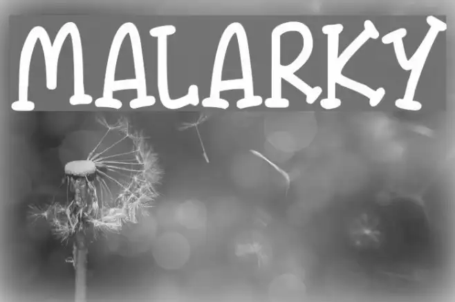 Malarky Example 3