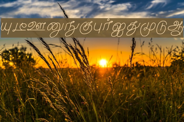 Malayamarutham Regular Example 2