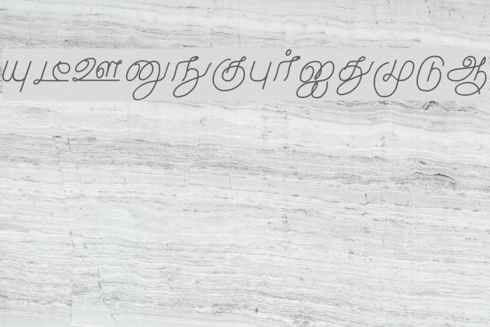 Malayamarutham Regular Example 3