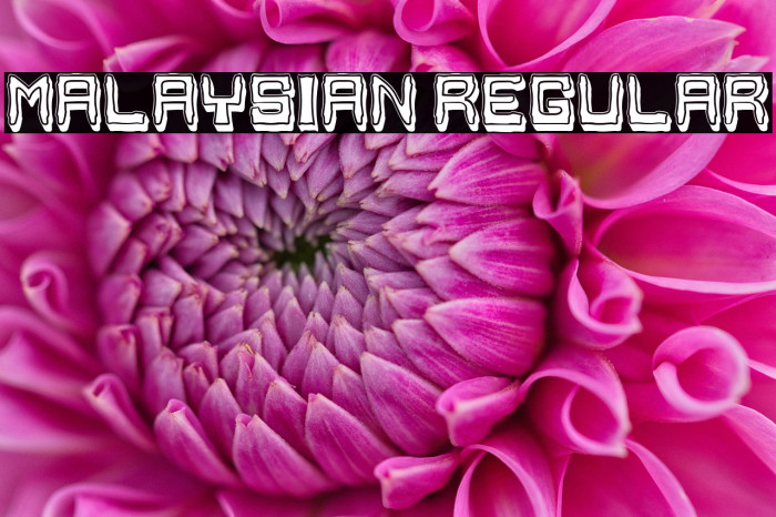 Malaysian Regular Example 2