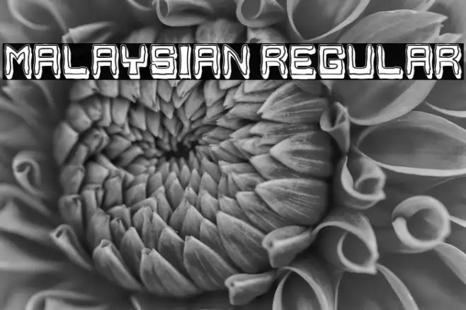 Malaysian Regular Example 2