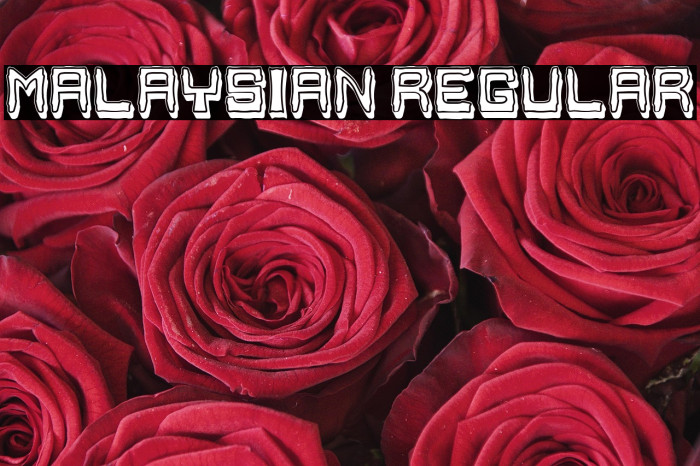 Malaysian Regular Example 3