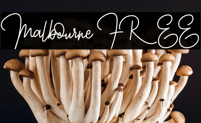 Malbourne FREE Example 1