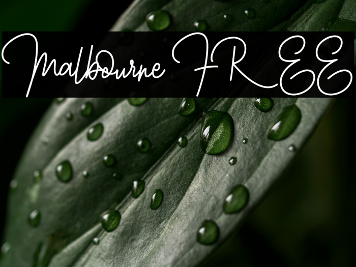 Malbourne FREE Example 2